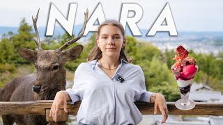 THE Nara Guide Unmissable Temples amp Treats 🦌⛩️🍦 [upl. by Annaet974]