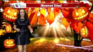 Clara Trullenque UNIVISION 45 Houston [upl. by Fatsug]