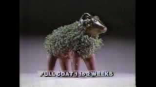 1984 Chia Pet Commercial [upl. by Siberson]