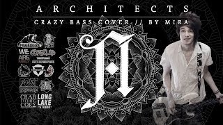 Architects  Naysayer Crazy Bass Cover [upl. by Mosnar]