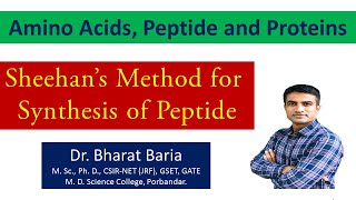 Sheehans method for synthesis of peptide  Dr Bharat Baria [upl. by Ettenaj593]