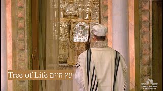 Tree of Life Etz Chayim [upl. by Conger801]