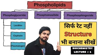 Phospholipids and its Types  Biochemistry Lecture in Hindi [upl. by Casilde885]