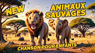 Animaux sauvages chanson pour enfants [upl. by Drazze]