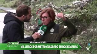 Grazalema tras los temporales de febrero y marzo de 2018 en Andalucía Directo [upl. by Amrac]