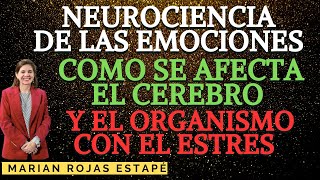 🧠 NEUROCIENCIA DE LAS EMOCIONES  Dra marian Rojas Estape [upl. by Chor]