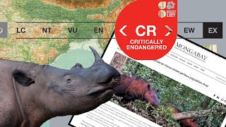 Why Is The Sumatran Rhino Going Extinct [upl. by Xylia]