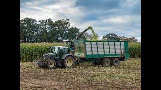 Maishäckseln 2019 04  Fendt Katana 85  Fendt 724  Fendt 930  LU Blunk [upl. by Niarda]