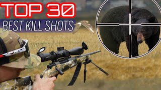 TOP 30 BEST HUNTING KILL SHOTS [upl. by Onailerua]