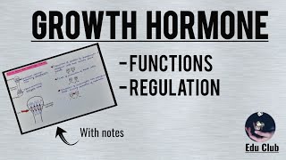 Growth Hormone  Functions  Regulation  Somatomedins  Endocrine Physiology [upl. by Sproul897]