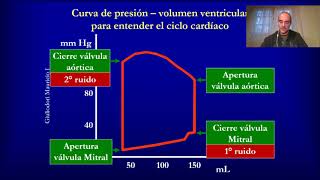 Fisiología cardíaca Ciclo cardíaco en 5 minutos rápido fácil y simple [upl. by Engelbert91]