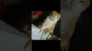 matematicas financieras y fisica xd youtubeshorts identificarse edit parati risa [upl. by Ys967]