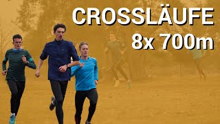 Crossläufe I Verbesserung der Ausdauer für 10km Wettkampf Projekt Sub 30min [upl. by Porter]