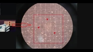 Hemocytometer  Counting of cells  Amrita University [upl. by Hwu]