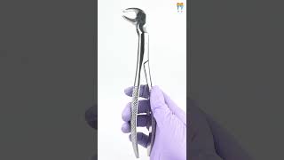 Waldent Tooth Extraction Forceps Lower Molars amp Wisdoms Left No2212L 1129 shorts shortvideo [upl. by Erodasi437]