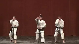 Karate bemutató Búzás Csaba mester vezetésével  Csikszereda 2015 [upl. by Daphna]