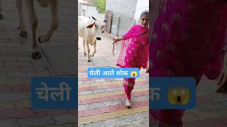 Cheli  kehar kharkiya  yogesh verma  Harry lather  Yasika sharma Haryanvi song shorts song [upl. by Mcgill]