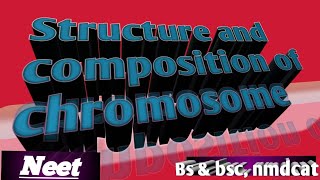 structure and composition of chromosomepart 2 [upl. by Ecinue]