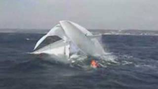 EXTREME SAILING Best of [upl. by Polash749]