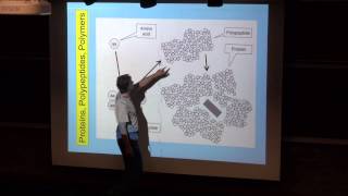 Proteins Polypeptides Polymers part 1 [upl. by Anaahs]