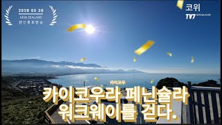 KOWiTV7 카이쿠라 페닌슐라 워크웨이Kaikoura Peninsula Walkway를 걷다 [upl. by Reichel917]