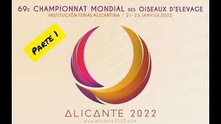 Mundial UOM Alicante 2022 Parte 1 [upl. by Nytnerb]