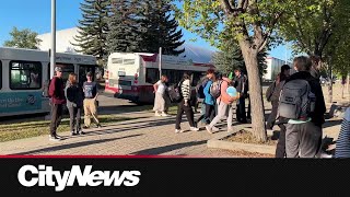 Calgary students say overcrowding a major issue on city transit bus route [upl. by Haras]