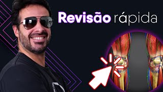 REVISÃO RÁPIDA DOS MEMBROS INFERIORES [upl. by Onimixam18]