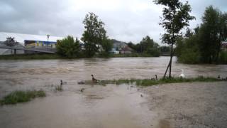 Hochwasser 2013 in Wieselburg [upl. by Jacquie310]