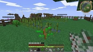 ZONAMINECRAFT2 LOS CRAFTEOS MAGICOS MUTANDIS 19 [upl. by Yeffej]