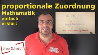 Proportionale Zuordnung  Mathematik  Lehrerschmidt  einfach erklärt [upl. by Ettenwahs756]