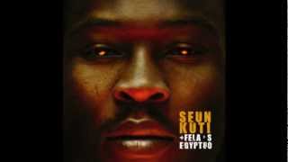 Seun Kuti amp Felas Egypt 80  Dont Give That Shit To Me HQ [upl. by Wertz783]