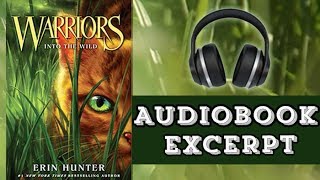 Warriors 1 Into the Wild by Erin Hunter  Audiobook Excerpt [upl. by Adelaja209]