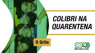 🔴 Colibri na Quarentena  27052021  O Grilo [upl. by Airuam]