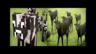 Cows amp cows amp cows VS Minecraft cows amp Minecraft cows amp Minecraft cows [upl. by Akinal]