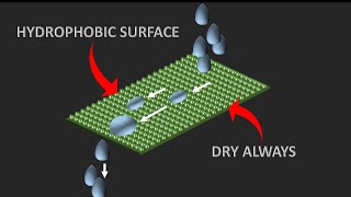 Science behind Hydrophobic technologies  The lotus effect [upl. by Ahar]