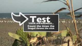 Visual Awareness Test  Are You Ready  Take a Test [upl. by Con964]