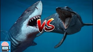 Megalodon vs Mosasaurus  wer würde den Kampf gewinnen I Wissensautomat [upl. by Gamal]