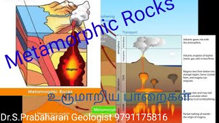 உருமாறிய பாறைகள்  Metamorphic Rocks [upl. by Nnyletak]