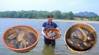 Harvesting Giant Clams A Deep Sea Adventure [upl. by Molini333]