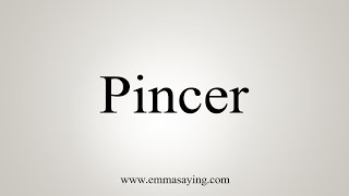 How To Say Pincer [upl. by Hedda]