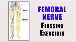 Nerve Glides  Flossing Exercises for FEMORAL NERVE ENTRAPMENT [upl. by Marka]