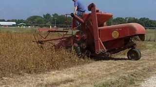 Antique Self Propelled Combines Harvesting Soybeans [upl. by Constantino]