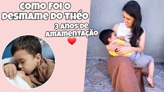 COMO FOI O DESMAME DO THÉO  3 ANOS DE AMAMENTAÇÃO  DICA PARA O DESMAME [upl. by Aikimat259]