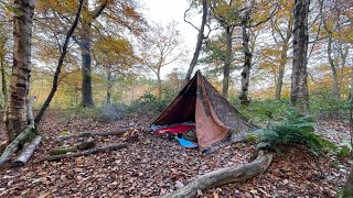 Hungarian Zeltbahn shelter in the woods with parakeet tweets [upl. by Carine]