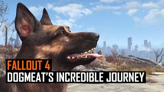 Fallout 4 Dogmeats Incredible Journey Home [upl. by Adorl610]