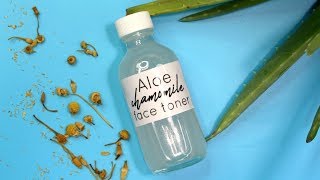 Aloe Chamomile Face Toner  OilyAcne Skin Ι TaraLee [upl. by Bluefarb147]