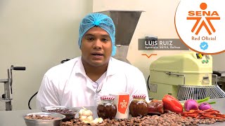 SENA en 1 Minuto de proyecto de CACAO [upl. by Semaj560]