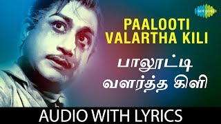 Palooti Valarthakili Video Song  Gauravam Movie  Sivaji Ganesan  MSV  TMS  Tamil Movie Song [upl. by Licastro]