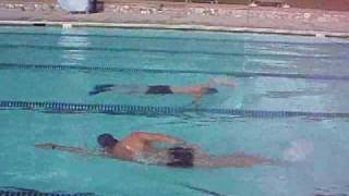 Swimming Drill  Finger Tip Drag [upl. by Ayian]